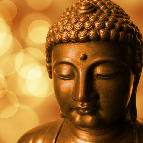 Get a Profile Page and Help Support Buddhist Charities